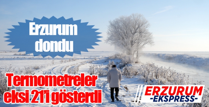 Erzurum dondu, termometreler -21’i gösterdi