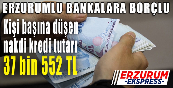 Erzurum nakdi kredi verileri açıklandı