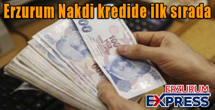 Erzurum Nakdi kredide ilk sırada