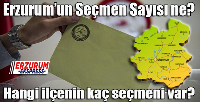 Erzurum’un Seçmen Sayısı ne?