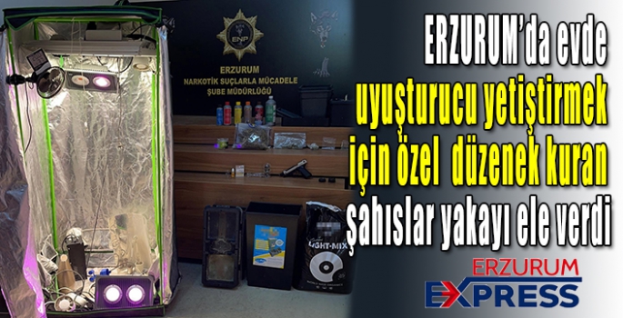 Evde uyuşturucu yetiştirmek için özel düzenek kuran şahıslar yakayı ele verdi