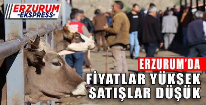 FİYATLAR YÜKSEK, SATIŞLAR DÜŞÜK