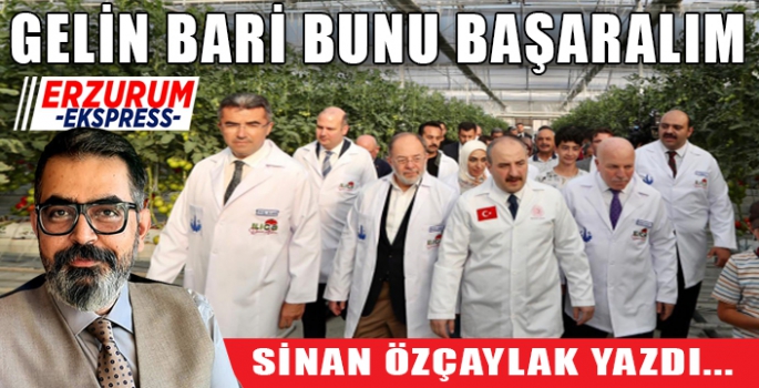 Gelin bari bunu başaralım.