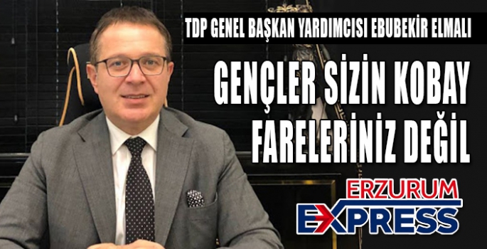 GENÇLER SİZİN KOBAY FARELERİNİZ DEĞİL