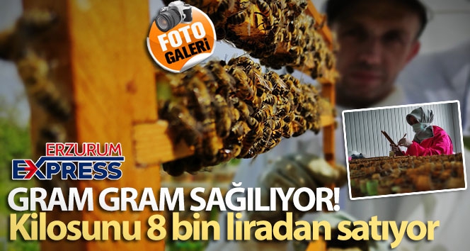 Gram gram sağdığı arı sütünün kilosunu 8 bin liradan satıyor