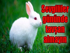 14 Şubat Sevgililer Gününde tavşan almayın 