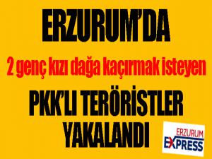 2 genç kızı dağa kaçırmak isteyen PKKlı teröristler yakalandı