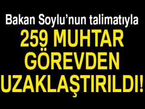259 muhtar Bakan Soylu'nun talimatıyla görevden uzaklaştırıldı