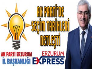 AK Partide seçim tarihleri netleşti