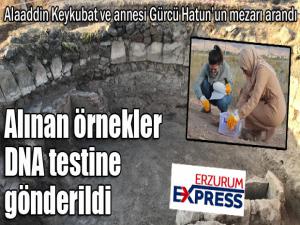 Alınan örnekler DNA testine gönderildi