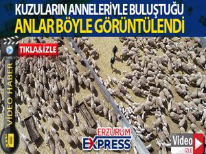 Ana kuzuları böyle görüntülendi