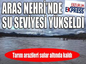 Aras Nehri karların erimesi sonucu yükseldi