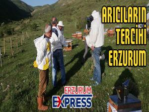 ARICILARIN TERCİHİ ERZURUM