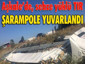 Aşkalede sebze yüklü tır şarampole yuvarlandı