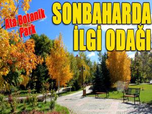 Ata Botanik Park, hazan mevsiminde ilgi odağı