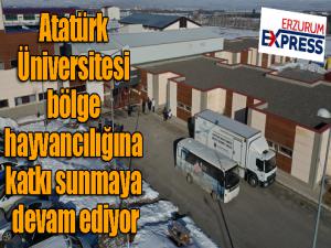 Atatürk Üniversitesi bölge hayvancılığına katkı sunmaya devam ediyor