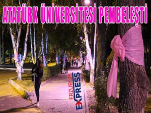 Atatürk üniversitesi pembeye büründü