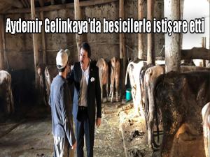 Aydemir Gelinkayada besicilerle istişare etti 