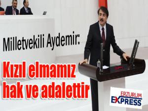 Aydemir: Kızıl elmamız hak ve adalettir 