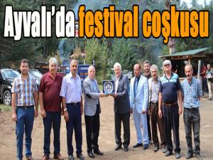 Ayvalı'da festival coşkusu