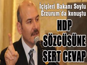Bakan Soylu'dan HDP sözcüsüne sert cevap