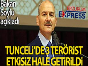 Bakan Soylu: 'Tunceli'de 3 terörist etkisiz hale getirildi'