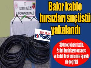Bakır kablo hırsızları suçüstü yakalandı