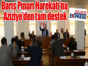 Barış Pınarı Harekatına Aziziyeden tam destek