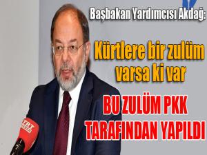 Başbakan Yardımcısı Akdağ: Kürtlere zulüm PKK tarafından yapıldı...