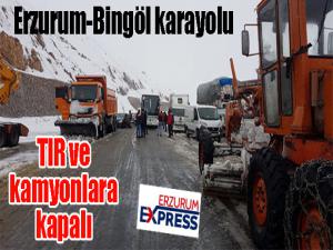 Bingöl-Erzurum karayolu büyük araç trafiğine kapatıldı