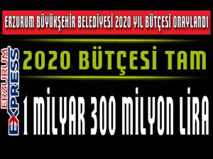 Büyükşehir Belediyesi 2020 bütçesi onaylandı.