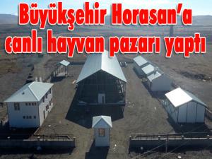 Büyükşehir Horasana canlı hayvan pazarı yaptı 