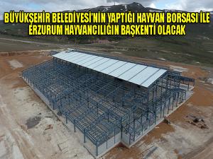 Büyükşehirin yatırımı Canlı Hayvan Borsasının yapımı sürüyor 