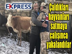  Çaldıkları hayvanları satmaya çalışınca yakalandılar 