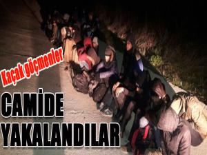 Camide 15 kaçak göçmen yakalandı