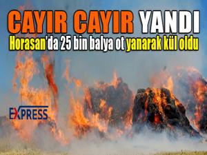 Cayır cayır yandı