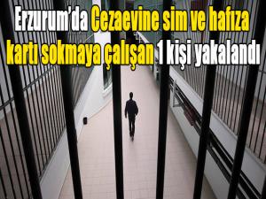 Cezaevine sim ve hafıza kartı sokmaya çalışan 1 kişi yakalandı