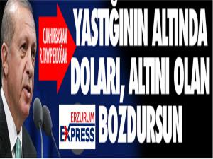 Cumhurbaşkanı Erdoğan'dan çağrı: Dolar ve altınlarınızı bozdurun!