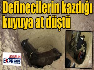 Definecilerin kazdığı kuyuya at düştü