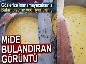 Depoya giren zabıta ekipleri gözlerine inanamadı