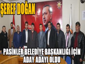 Doğan Pasinlere aday adayı oldu