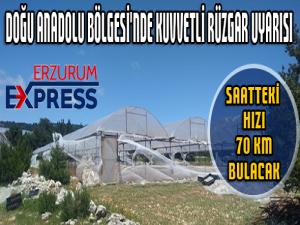 Doğu Anadolu Bölgesi'ne kuvvetli rüzgar uyarısı