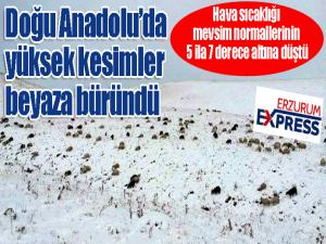 Doğu Anadoluda kar yağışı