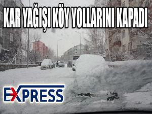  Doğu Anadolu'da kar yağışı: 300 köy ve mahalle yolu kapandı 