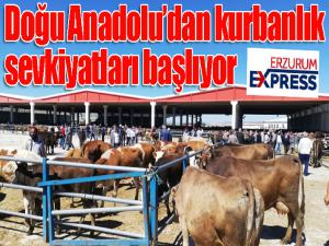 Doğu Anadoludan kurbanlık sevkiyatları başlıyor