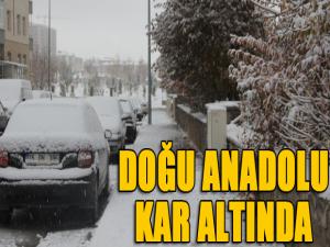 Doğu Anadolu kar altında 