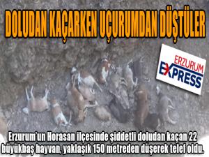 DOLUDAN KAÇARKEN UÇURUMDAN DÜŞTÜLER