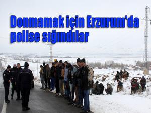 Donmamak için Erzurum'da polise sığındılar