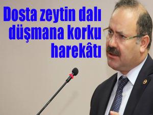 Dosta zeytin dalı düşmana korku harekâtı