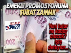 Emeklinin promosyon oranı Şubat'ta belli olacak